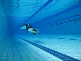 Majstrovstvá sveta vo freedivingu - Maribor 2007