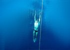 Freediver z Nového Zélandu stanovil nový svetový rekord