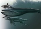 Pliosaurus - objav fosílií tohoto ohromného morského predátora