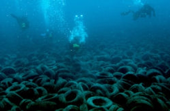 Ekologický omyl: Floridský koralový útes z pneumatík