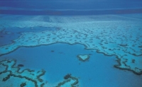 the great barrier reef